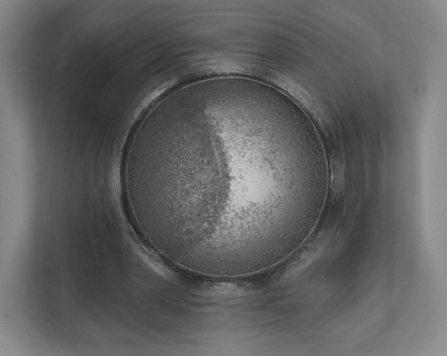 X0000111940390200908031142