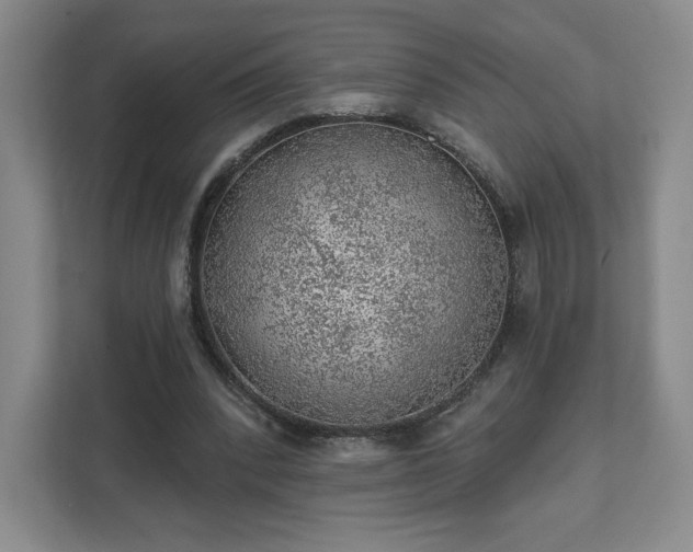 X0000111940392200908031142