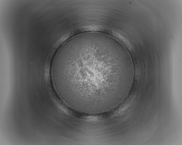 X0000111940394200908031142