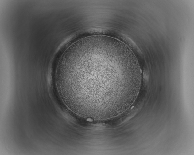 X0000111940396200908031142