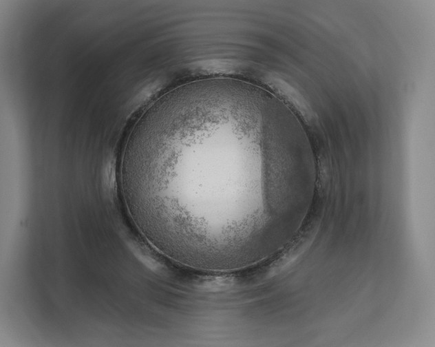 X0000111940398200908031142