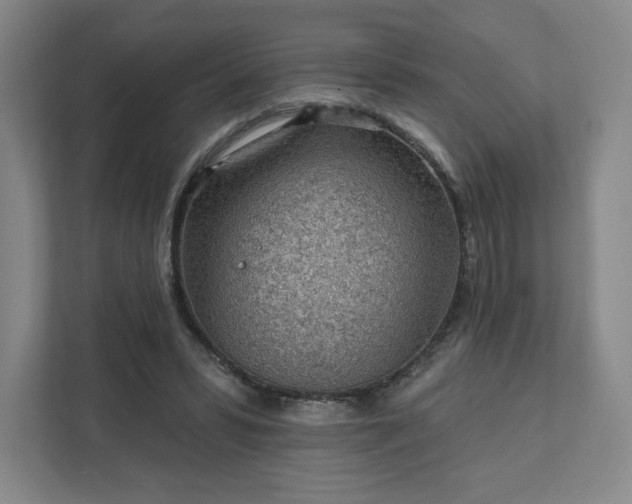 X0000111940399200908031142