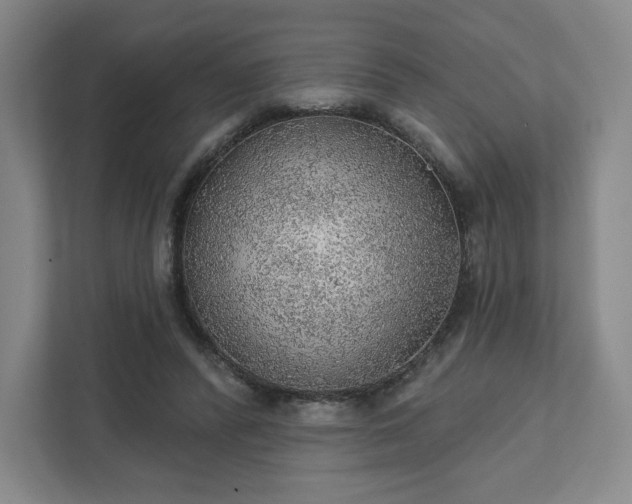 X0000111940400200908031142