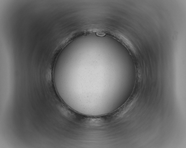 X0000111940401200908031142