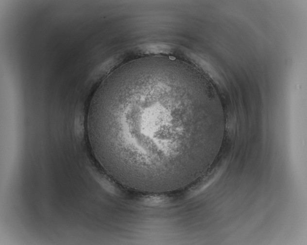 X0000111940402200908031142