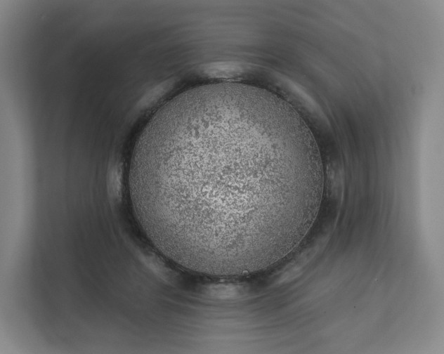 X0000111940404200908031142