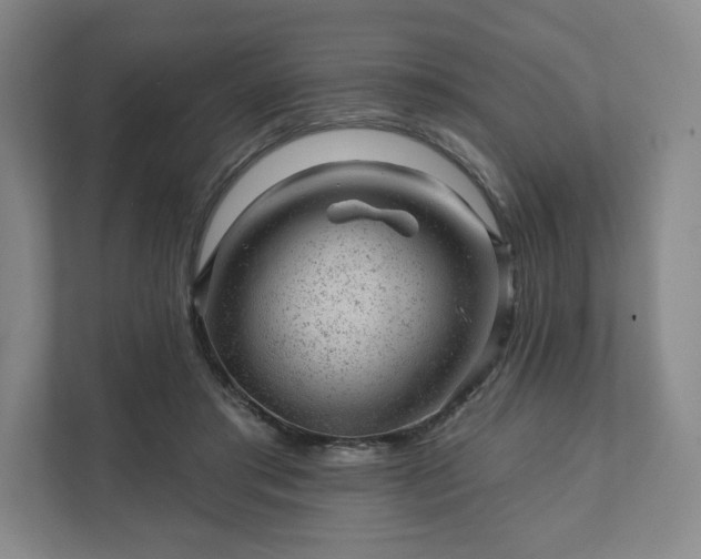 X0000111940405200908031142