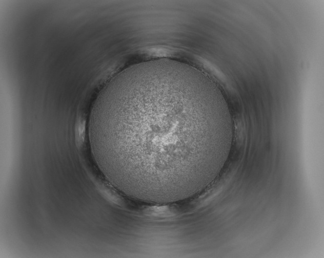 X0000111940406200908031142