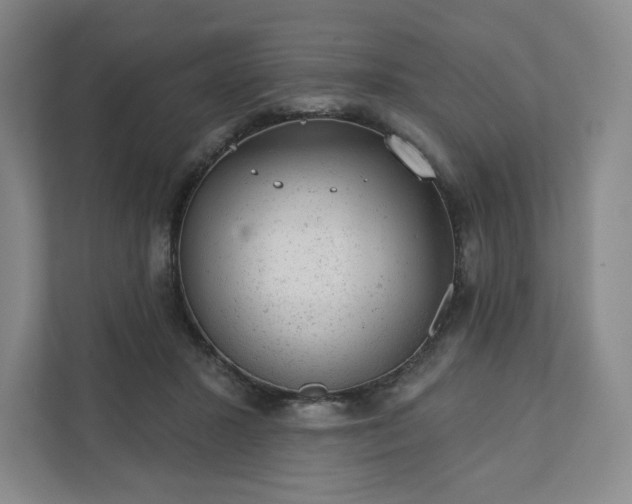 X0000111940407200908031142