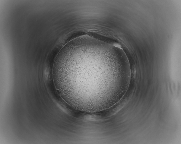 X0000111940408200908031142