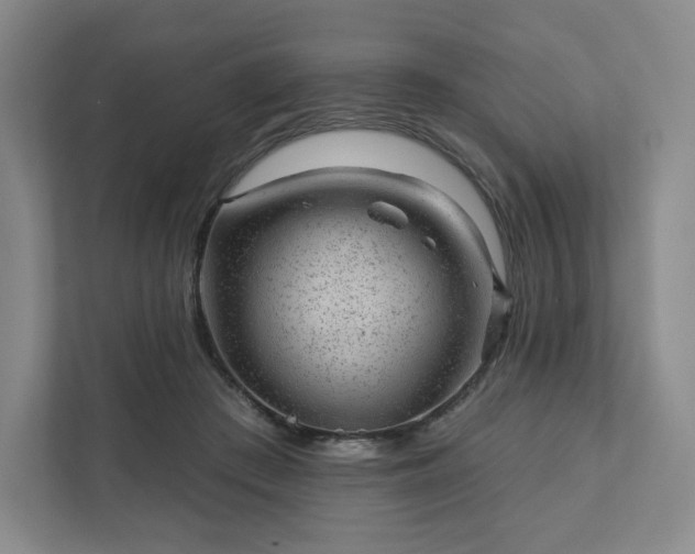 X0000111940409200908031142