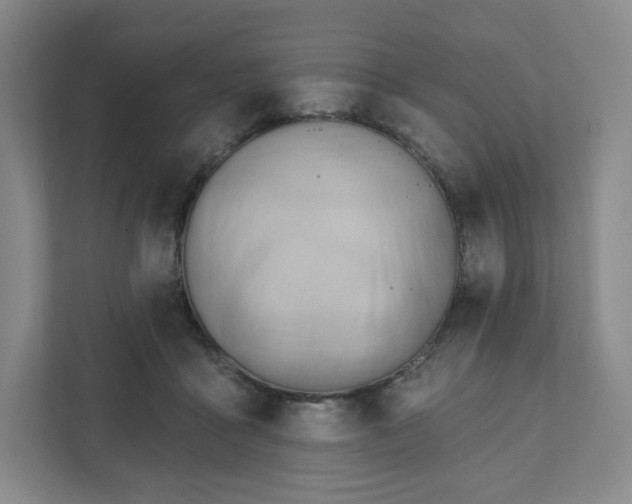 X0000111940411200908031142