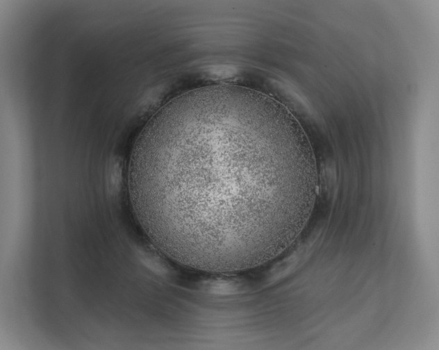 X0000111940412200908031142