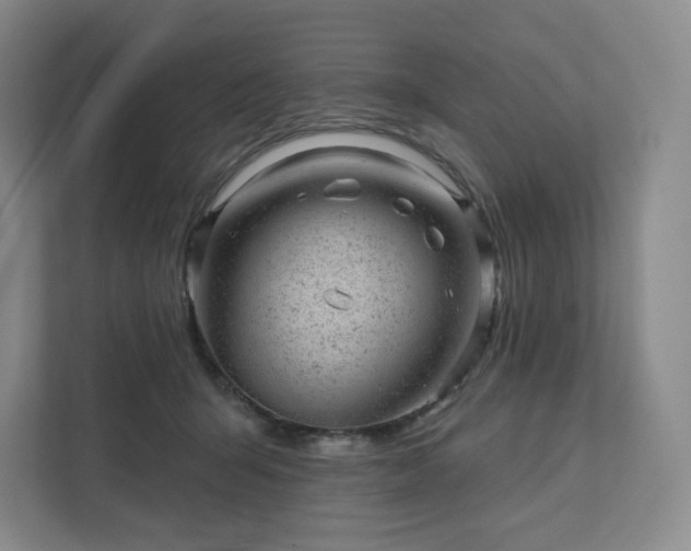 X0000111940415200908031142