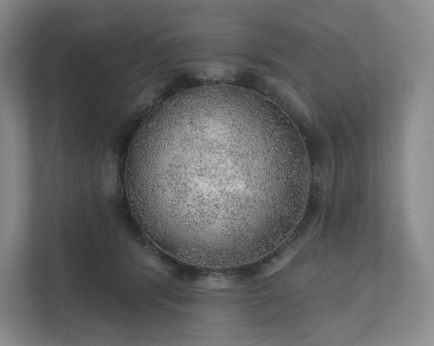 X0000111940416200908031142