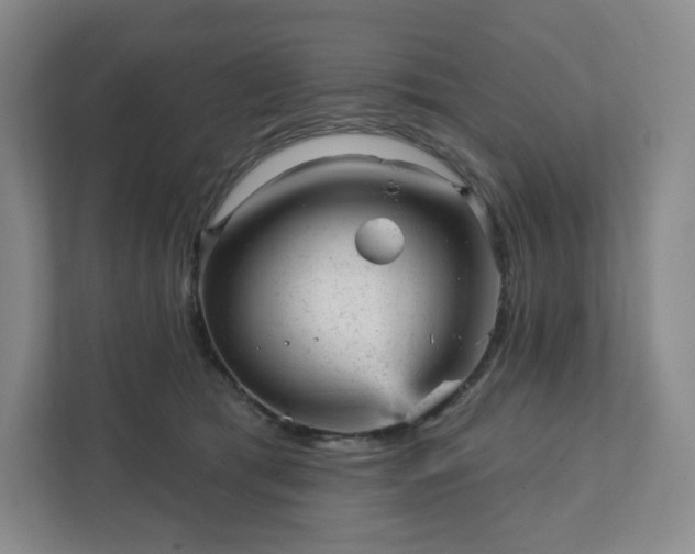 X0000111940417200908031142