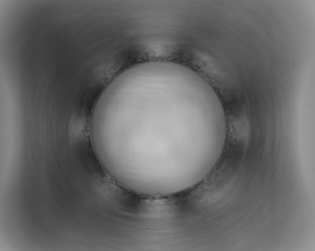 X0000111940419200908031142