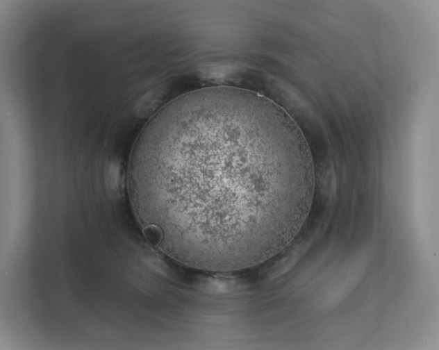 X0000111940420200908031142