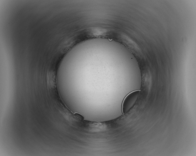 X0000111940421200908031142