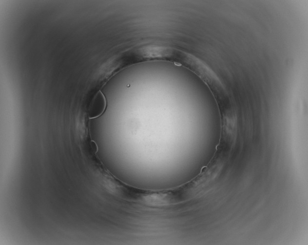 X0000111940422200908031142