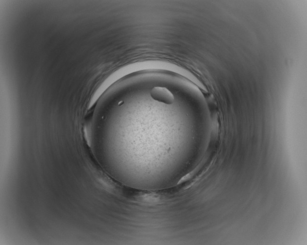 X0000111940423200908031142