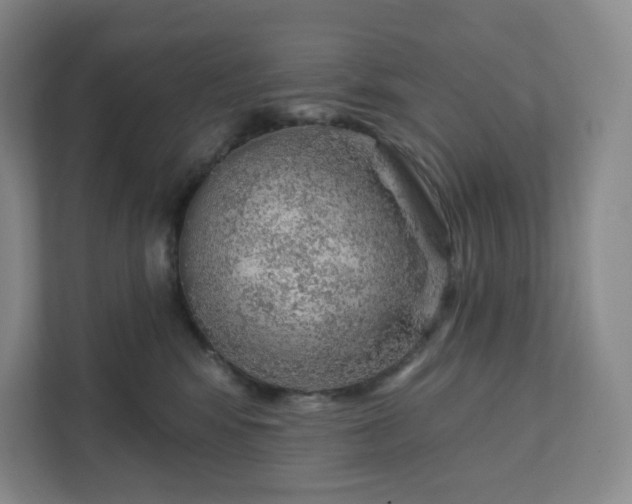 X0000111940424200908031142