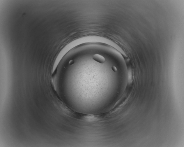 X0000111940425200908031142