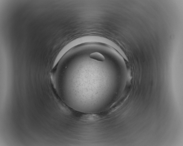 X0000111940427200908031142