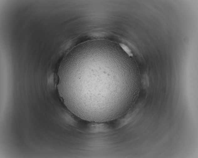 X0000111940428200908031142