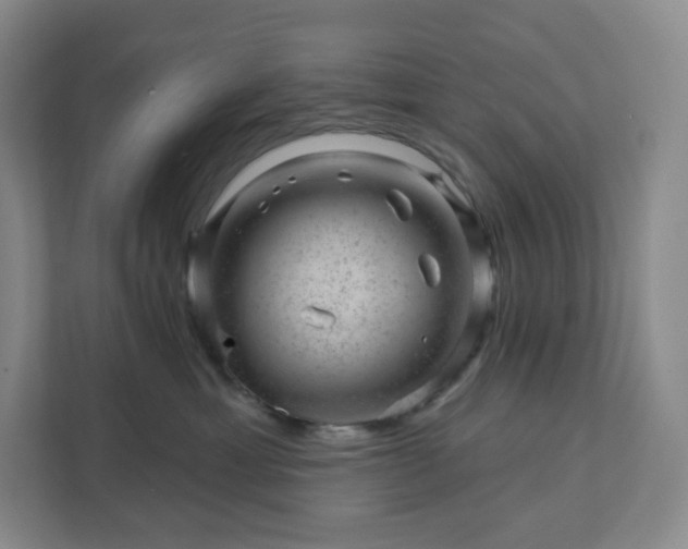 X0000111940429200908031142