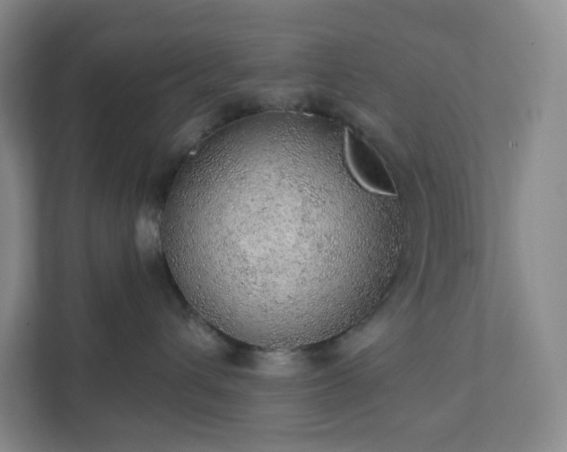 X0000111940432200908031142