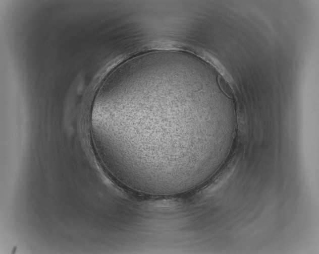 X0000111940433200908031141