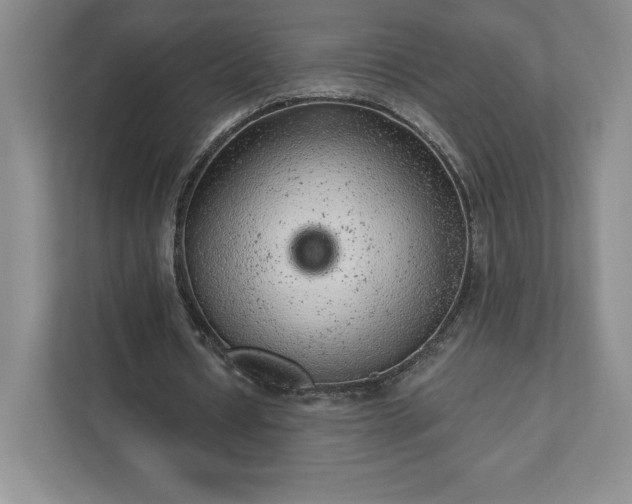 X0000111940434200908031141