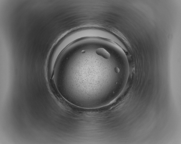 X0000111940436200908031141