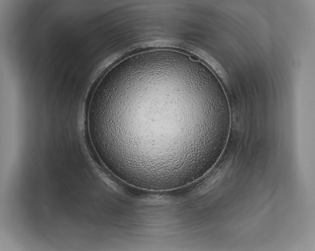 X0000111940437200908031141