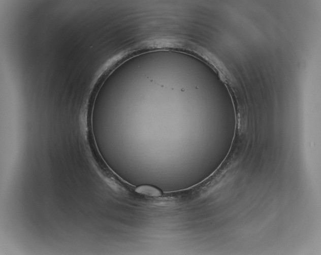 X0000111940438200908031141