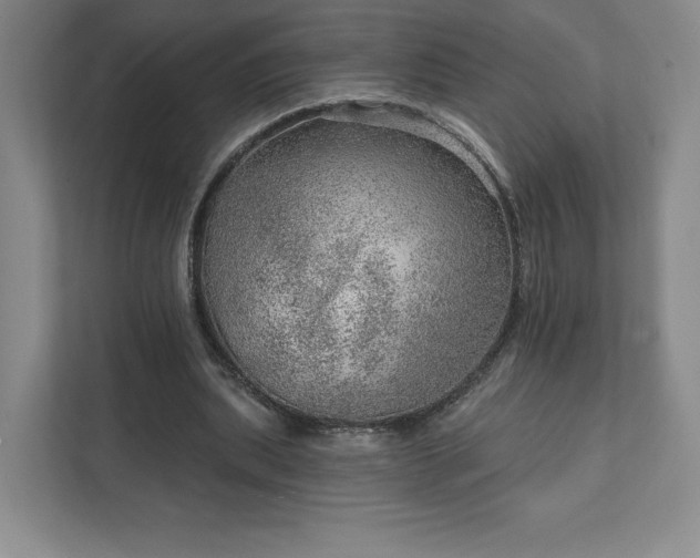 X0000111940439200908031141