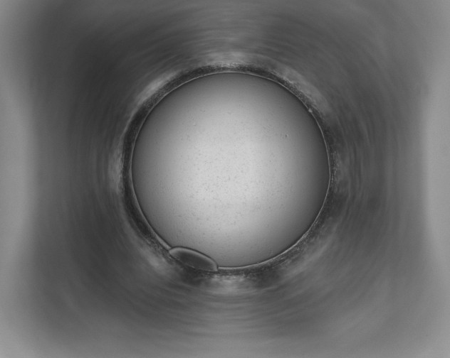 X0000111940440200908031141