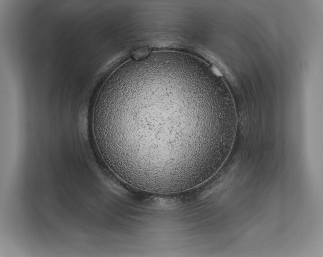 X0000111940442200908031141