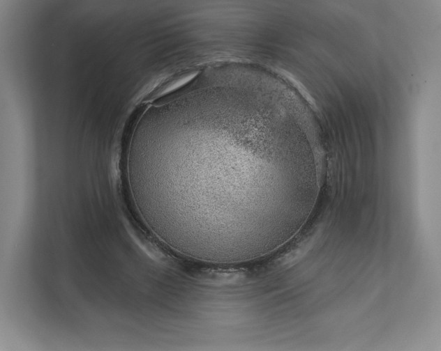 X0000111940443200908031141