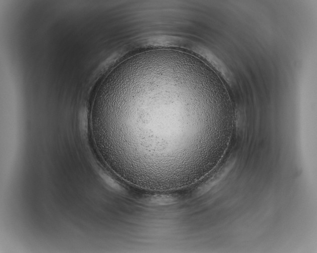 X0000111940445200908031141