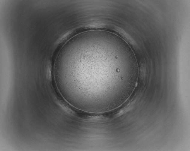 X0000111940446200908031141