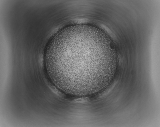 X0000111940447200908031141