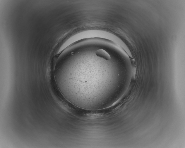 X0000111940448200908031141