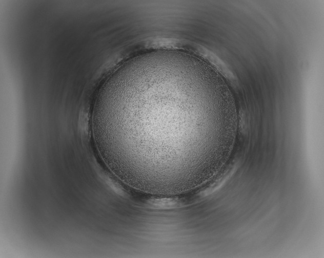 X0000111940449200908031141