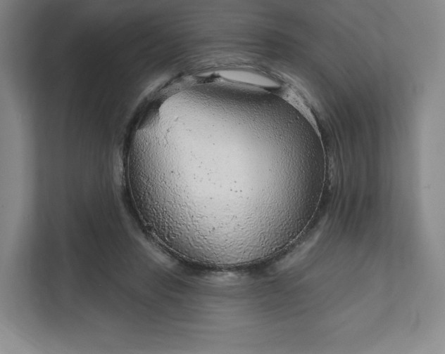 X0000111940453200908031141