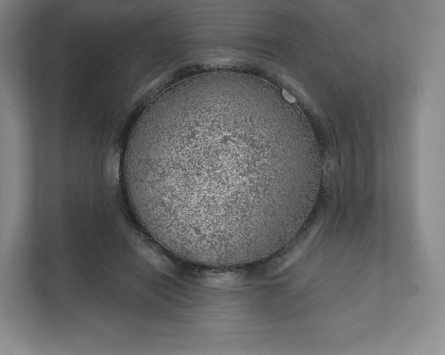 X0000111940454200908031141