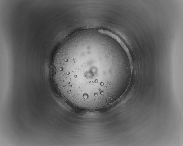 X0000111940455200908031141