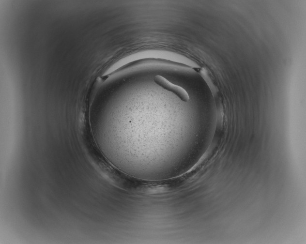 X0000111940456200908031141