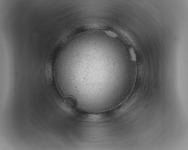 X0000111940457200908031141